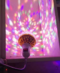 Rotating Colorful Party Bulb (Free Plug)