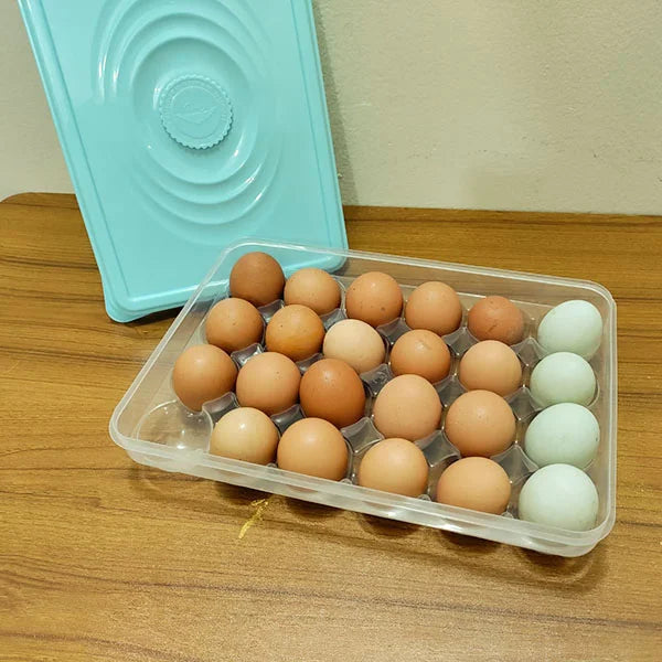 Egg Storage Box (24 Grids)