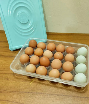 Egg Storage Box (24 Grids)