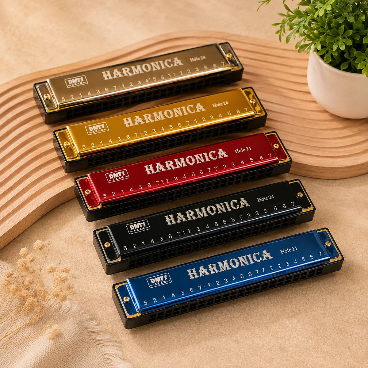 24 & 10 Holes Metal Harmonica Mouth Organ