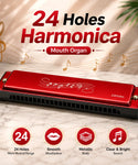 24 & 10 Holes Metal Harmonica Mouth Organ