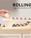 Double Layer Automatic Egg Dispenser