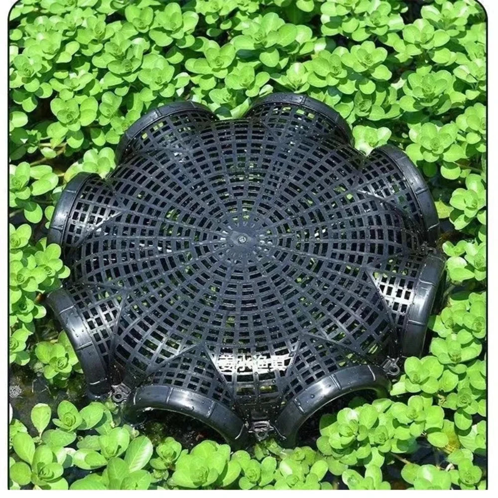 6 Holes Fishing Catcher Trap
