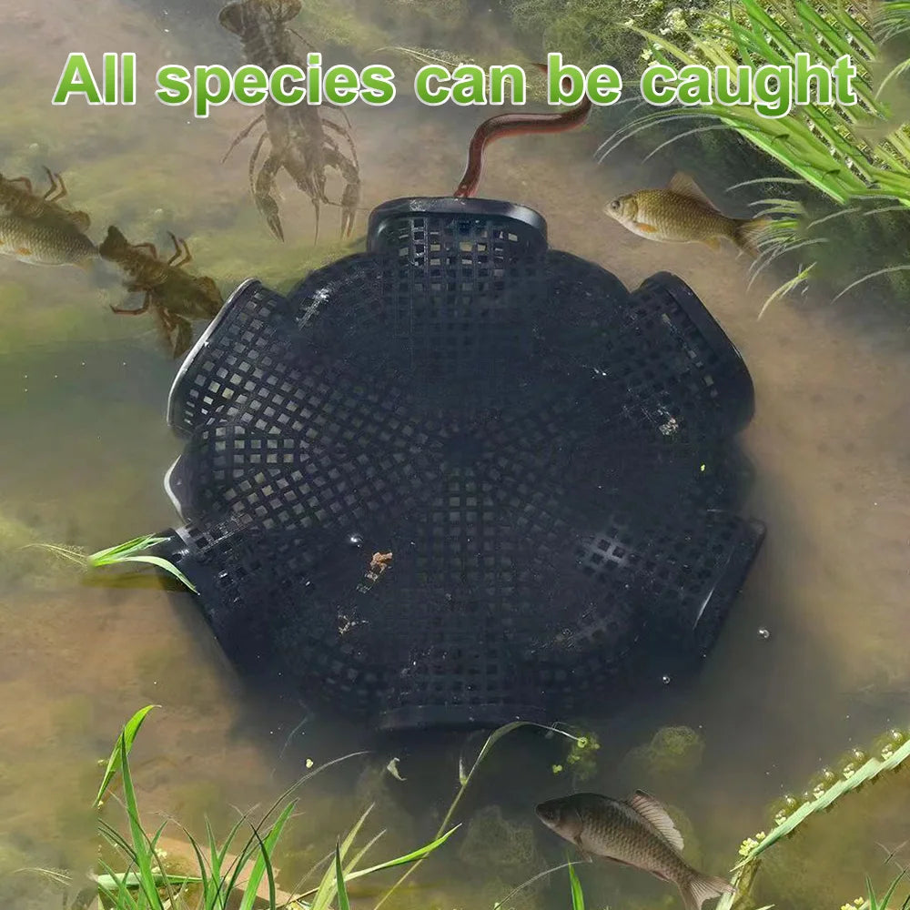 6 Holes Fishing Catcher Trap