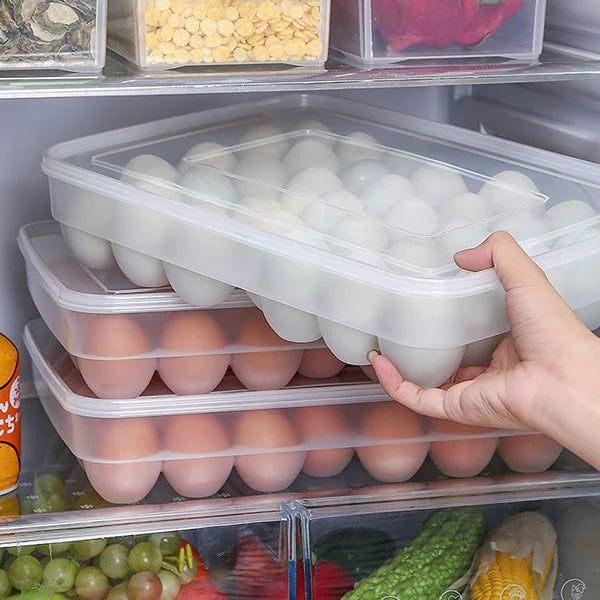 34 Grid Transparent Egg Storage Box