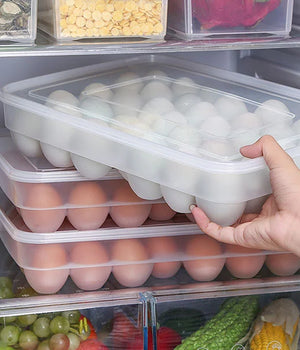 34 Grid Transparent Egg Storage Box