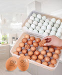 34 Grid Transparent Egg Storage Box