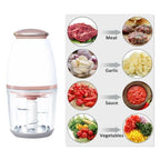 Electric Food Chopper & Juice Blender