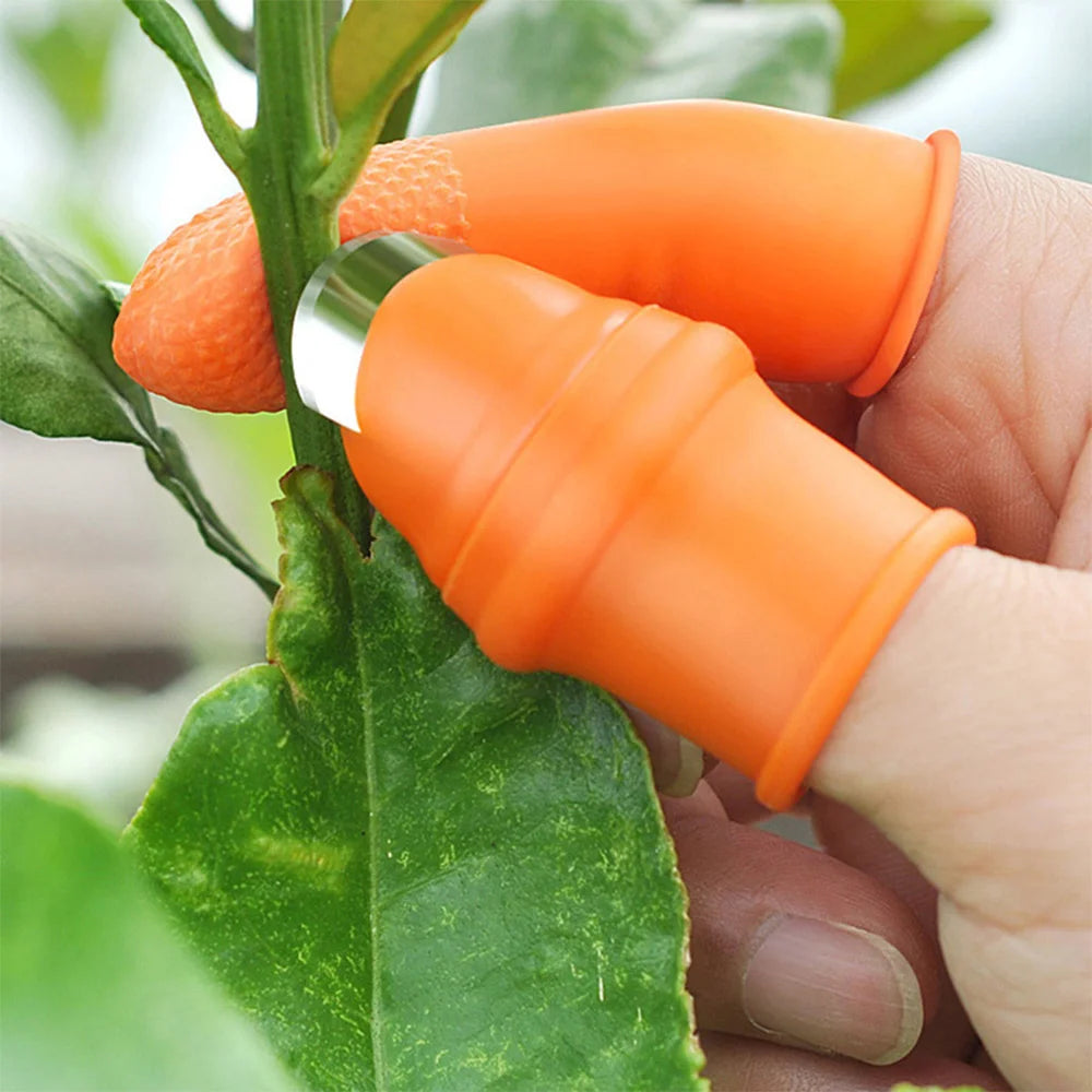 Vegetable Silicone Thumb Cutter Set
