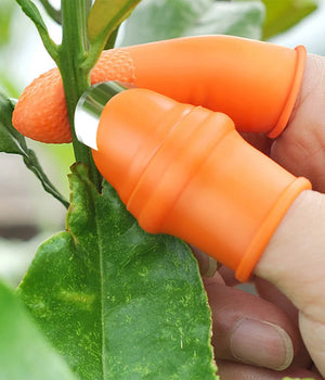 Vegetable Silicone Thumb Cutter Set