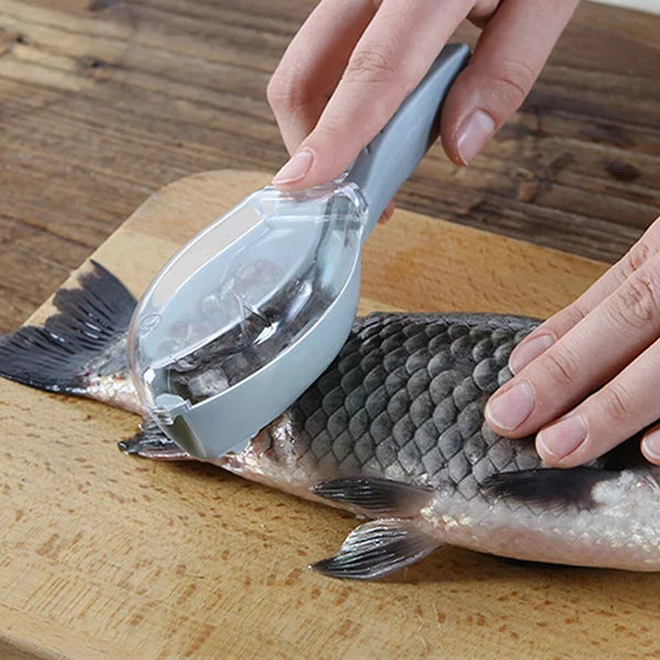 Fish Scales Scraping Tool