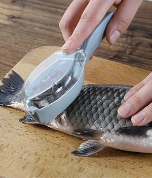 Fish Scales Scraping Tool