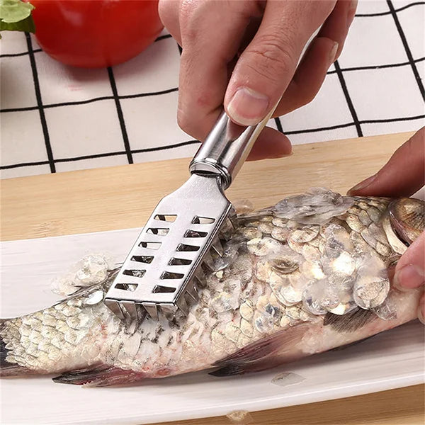 Stainless Steel Fish Scale Remover (Set Of 2)