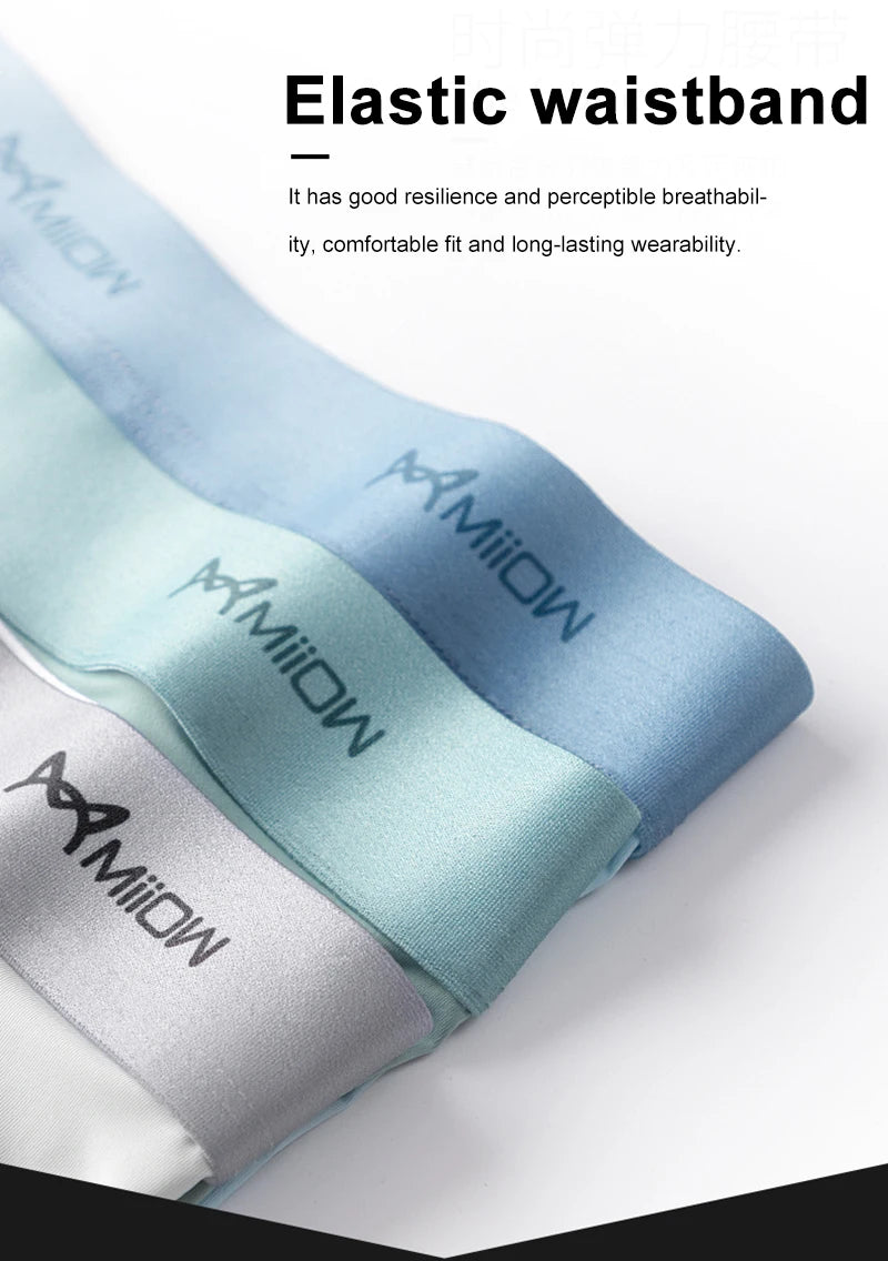 Men's Breathable Anti-Bactorial Ice Silk Boxer (4 Pcs)