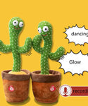 Dancing Talking Cactus Toy
