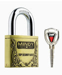 Mindy Heavy High-Security Lock