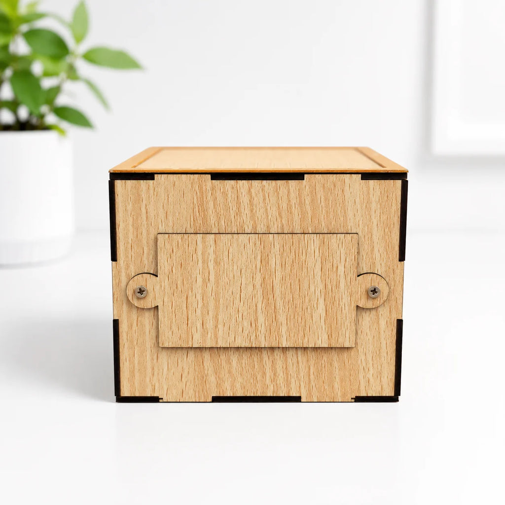 Creative Money Saving Box