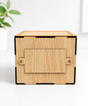 Creative Money Saving Box