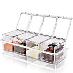 Transparent 4 Grid Spice Box With Spoon
