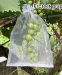 Anti-Pest Garden Fruit Protection Bags