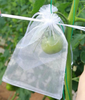 Anti-Pest Garden Fruit Protection Bags