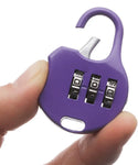 Mini Outdoor Luggage Locker