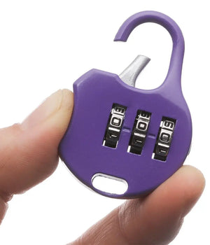 Mini Outdoor Luggage Locker