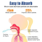 Portable Mini Silent Nebulizer