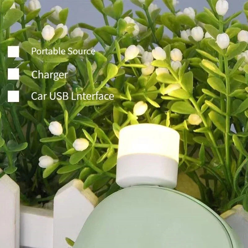 Nano USB LED Light With OTG (Set Of 3)