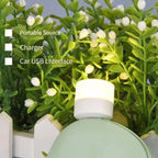 Nano USB LED Light With OTG (Set Of 3)
