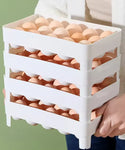 Double Tray Egg Storage Holder