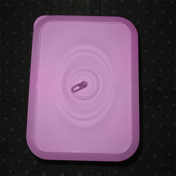 24 Grids Egg Storage Box