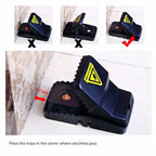 Automatic Indoor Mouse Killer Trap (2 Pcs)