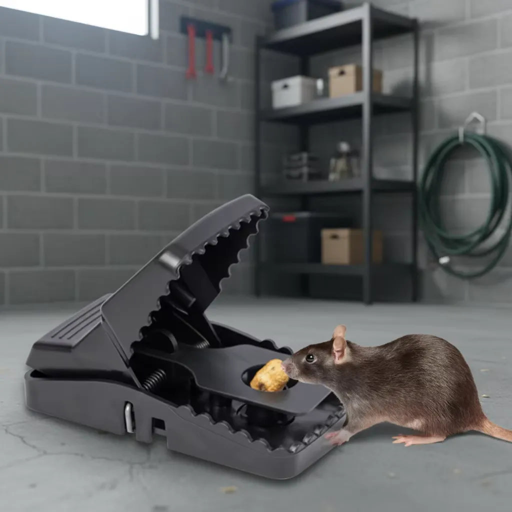 Automatic Indoor Mouse Killer Trap (2 Pcs)